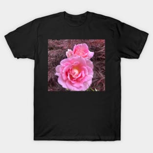 Beloved Pink Rose Buds of Friends and Lovers T-Shirt